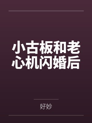 小古板和老心机闪婚后