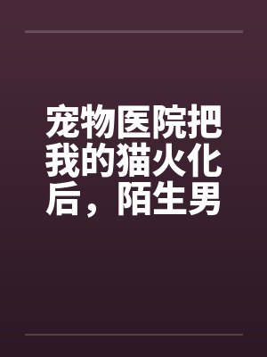 宠物医院把我的猫火化后，陌生男人说我是他老婆