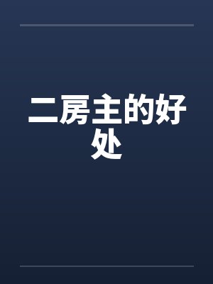二房主的好处